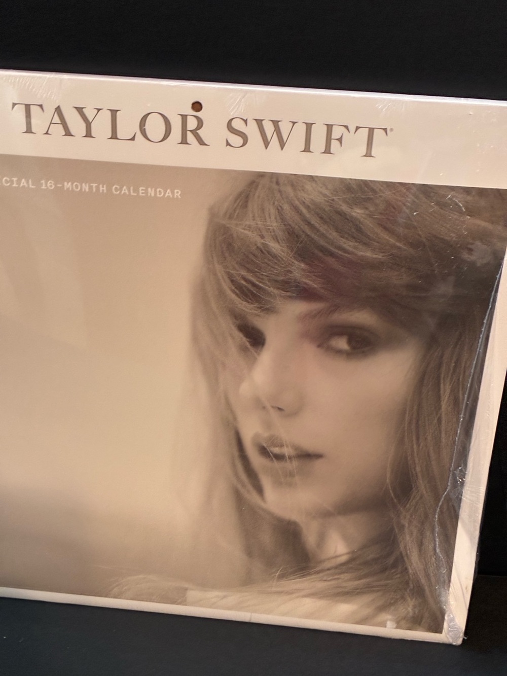 Taylor Swift 16 month calendar